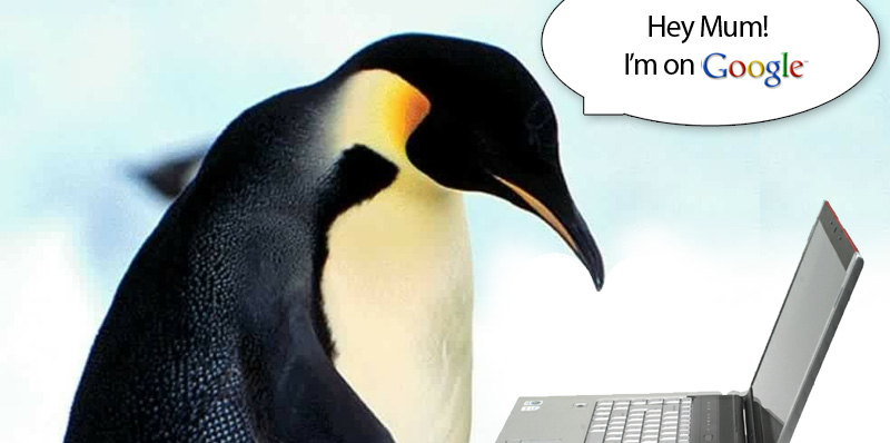 Google Penguin SEO: How It Will Affect Your Website's Rankings